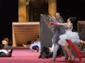 Die Fledermaus