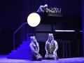 Suedseetulpen_015